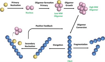 Natural Compounds as Inhibitors of Aβ Peptide Aggregation: Chemical Requirements and Molecular Mechanisms